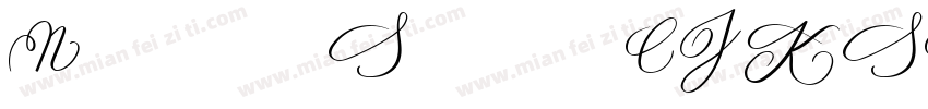 NotoSansCJKSC R字体转换